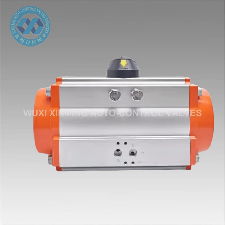 Pneumatic Air Actuator